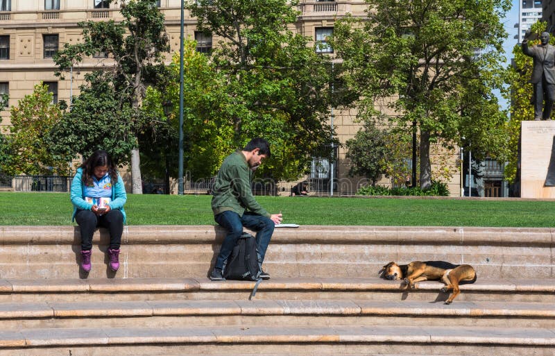 Schlafende Hunde Soll Man Nicht Wecken Redaktionelles Stockfoto Bild