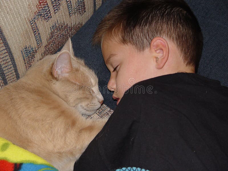 Schlafender Junge und Katze stockfoto Schlafender Junge und Katze stockfoto