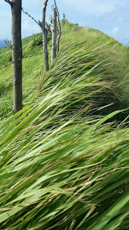 Schlagen des Winds lizenzfreie stockfotografie