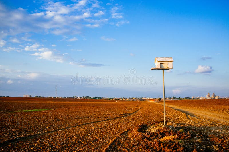 Schleiereulenistkasten lizenzfreies stockbild Schleiereulenistkasten lizenzfreies stockbild