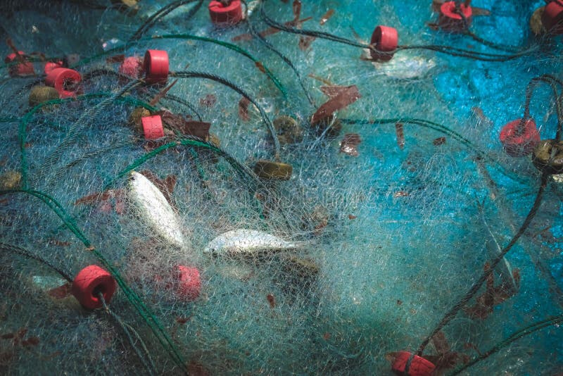 Nahaufnahme Des Eingewickelt Um Handkurbeltrommel Auf