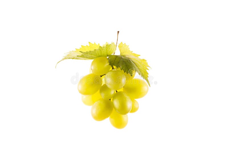 Schließen Sie herauf Ansicht der Gruppe der frischen Trauben lizenzfreies stockfoto