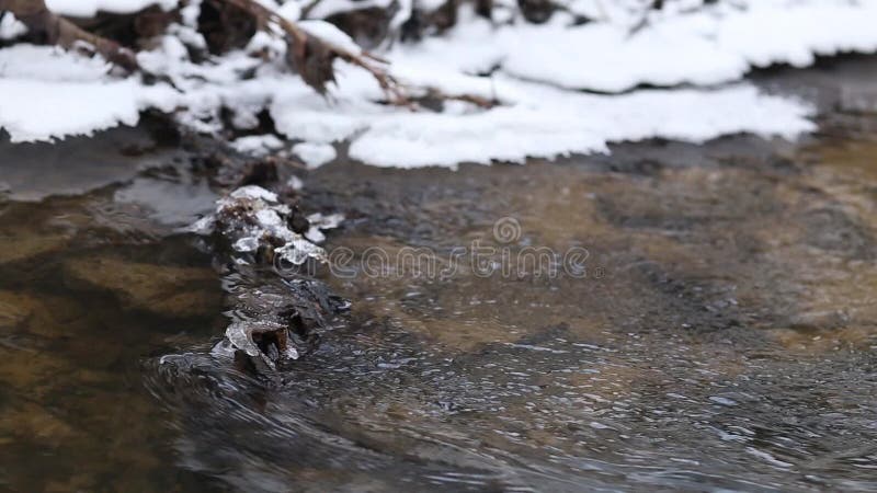 Schließen Sie herauf den Schuss des Schmelzwassers laufend in einen schnellen Frühlingsnebenfluß Eisschmelze auf einem Felsen