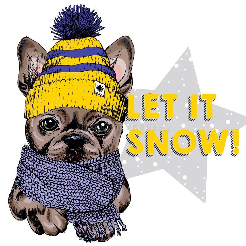 Schließen Sie herauf Vektorporträt des tragenden Beanie und -schals der französischen Bulldogge Hunde Skimodusstimmung Skecthed f stock abbildung Schließen Sie herauf Vektorporträt des tragenden Beanie und -schals der französischen Bulldogge Hunde Skimodusstimmung Skecthed f stock abbildung