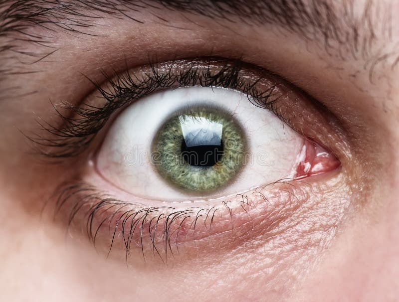Schließen Sie oben vom menschlichen Auge stockbild Schließen Sie oben vom menschlichen Auge stockbild