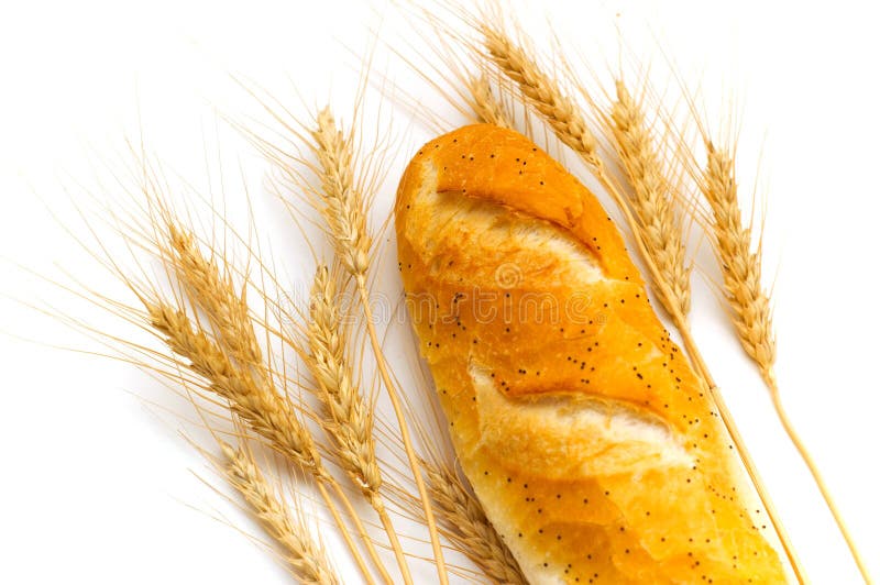 Schließen Sie oben von den Brot- und Weizenohren. Abschluss oben der Brot- und Weizenohren