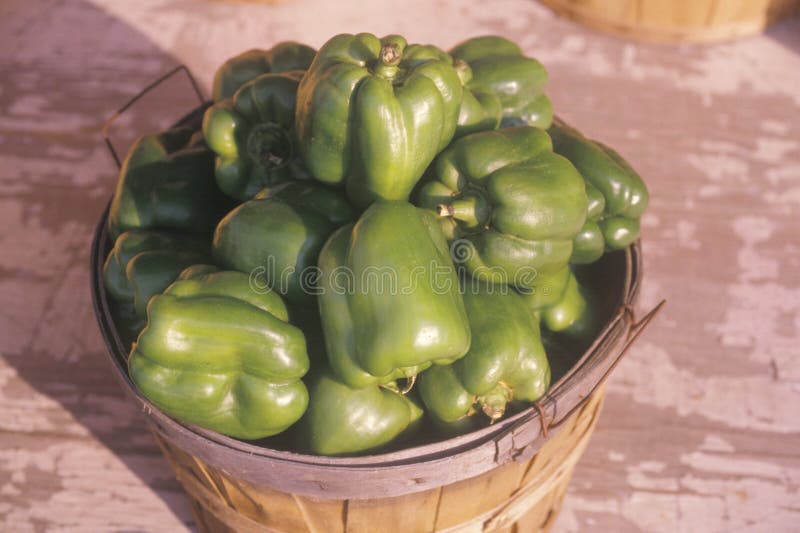 Schließen Sie oben von den grünen Paprikas in einem Korb stockfoto Schließen Sie oben von den grünen Paprikas in einem Korb stockfoto
