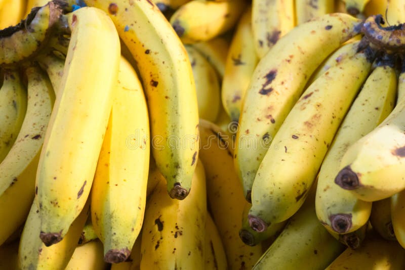 Schließen Sie oben von der reifen gelben Banane lizenzfreie stockbilder Schließen Sie oben von der reifen gelben Banane lizenzfreie stockbilder