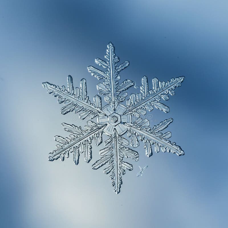 Schließung einer einzigen Schneeflocke in sechseckiger Form und aufwändig vektor abbildung