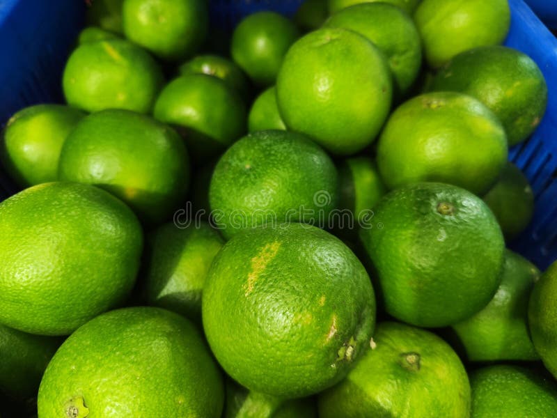 Schließung eines Clusters frischer Zitronen aus Kalk auf einem Display stockfoto
