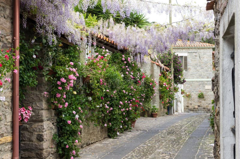 Narrow street of flowers in a small town in Sardinia. Narrow street of flowers in a small town in Sardinia