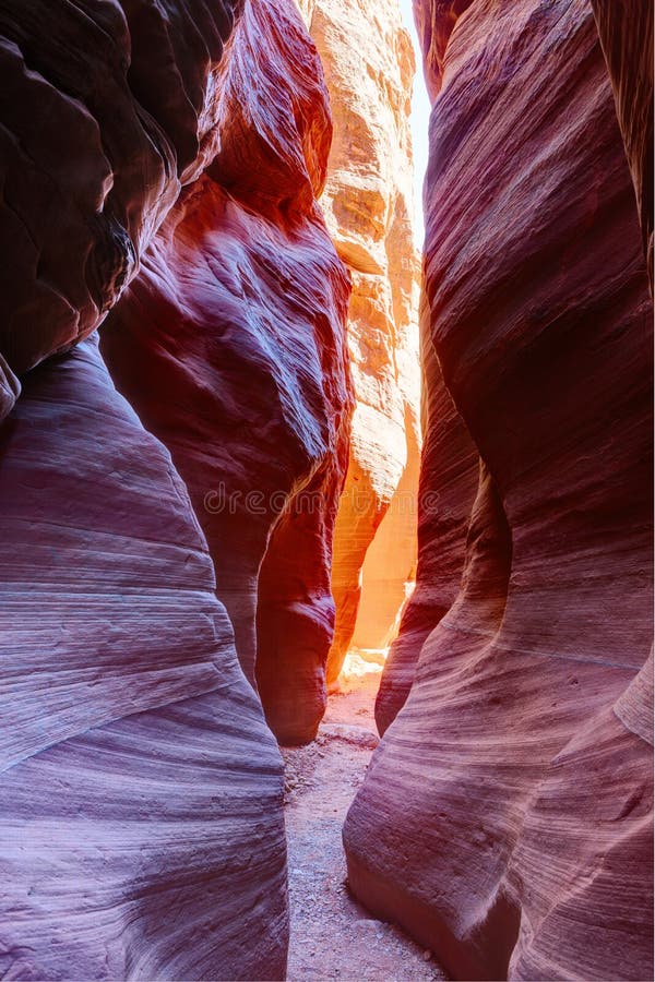 Narrow slot canyon Wire Pass leading into Buckskin Gulch, Paria Canyon-Vermilion Cliffs Wilderness, near the Utah-Arizona border, southern Utah, United States. Narrow slot canyon Wire Pass leading into Buckskin Gulch, Paria Canyon-Vermilion Cliffs Wilderness, near the Utah-Arizona border, southern Utah, United States.