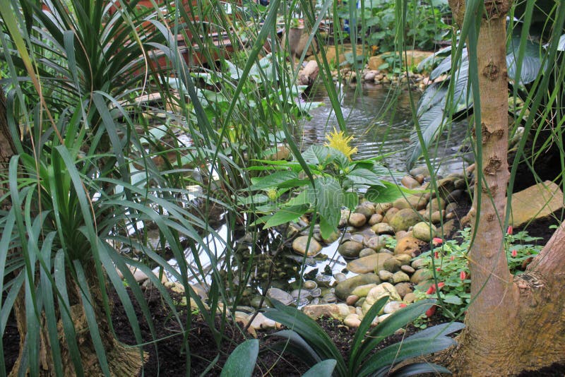 Schmetterlinge Im Garten Der Schmetterlinge Stockbild Bild von