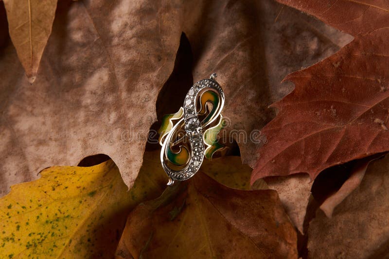 Schmuckgolddiamantring auf Herbstlaubhintergrund stockfotos Schmuckgolddiamantring auf Herbstlaubhintergrund stockfotos