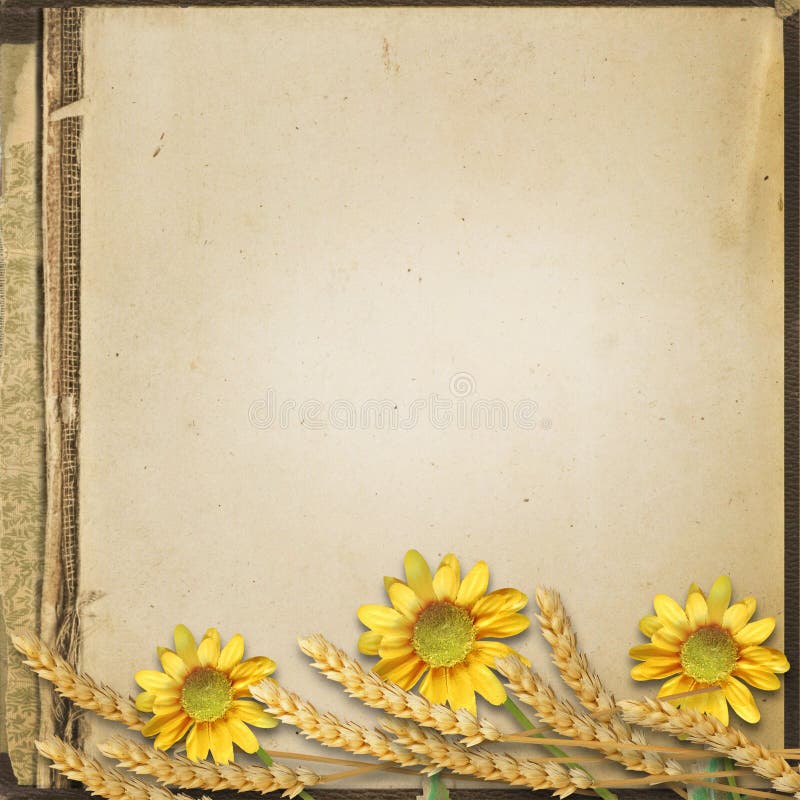 Grunge autumn background with sunflowers and spikelets, with space for photo and text. Grunge autumn background with sunflowers and spikelets, with space for photo and text