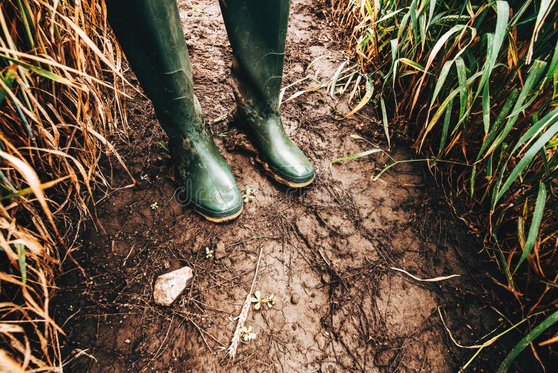 Dirty rubber boots in muddy soil, farmer standing in field after rain, selective focus. Dirty rubber boots in muddy soil, farmer standing in field after rain, selective focus