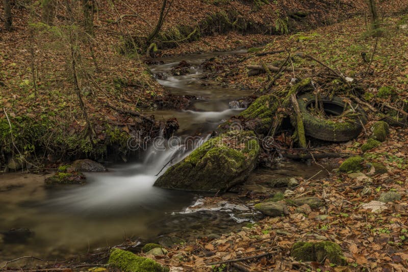  Schmutziger  Teich Stockfotos und Bilder Laden Sie 134 