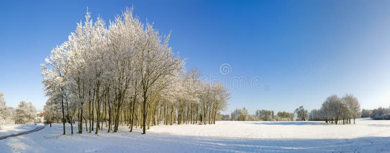 Schnee stockfoto Schnee stockfoto
