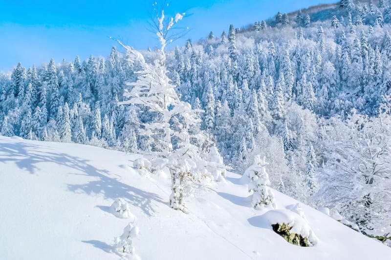 Schnee Bedeckte Berge Montenegro Fotos Kostenlose Und Royalty Free Stock Fotos Von Dreamstime