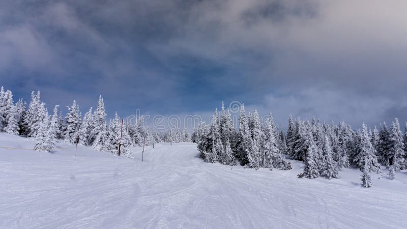 Schnee bedeckte Bäume auf Ski Slopes von Sun-Spitzen lizenzfreies stockbild Schnee bedeckte Bäume auf Ski Slopes von Sun-Spitzen lizenzfreies stockbild