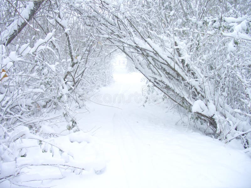 Schnee-Sturm stockfotografie Schnee-Sturm stockfotografie