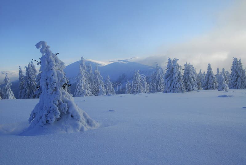 Schnee umfaßte Landschaft stockbilder Schnee umfaßte Landschaft stockbilder
