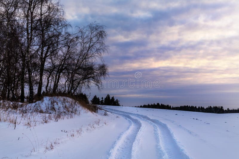 Schnee und eine Baumgruppe bei Sonnenuntergang lizenzfreies stockbild Schnee und eine Baumgruppe bei Sonnenuntergang lizenzfreies stockbild