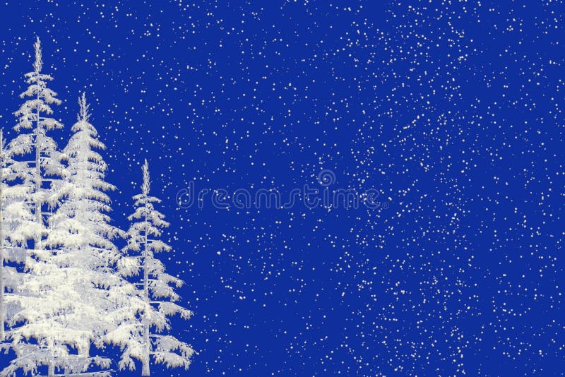 Seasonal Christmas blue background illustration with white christmas trees and falling snow. Seasonal Christmas blue background illustration with white christmas trees and falling snow