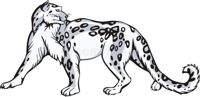 Graceful snow leopard turned round his head. Vinyl-ready EPS Illustration. Graceful snow leopard turned round his head. Vinyl-ready EPS Illustration.