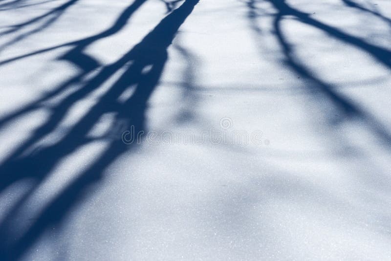 Snow pattern structure. Shadows of trees on the snow surface. Play of light and shadow. Snow pattern structure. Shadows of trees on the snow surface. Play of light and shadow