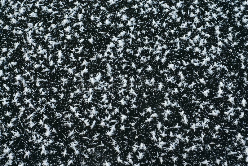 Schneesterne stockbild. Bild von schneeflocke, verzierung - 1838371