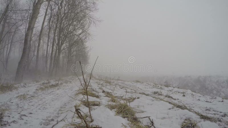 Schneesturm im Winter nahe Wald, Zeitspanne 4K