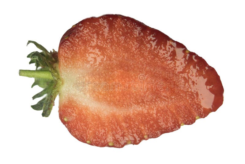 Schnitterdbeerscheiben-Oberflächenabschluß auf Makro isoliert stockbild