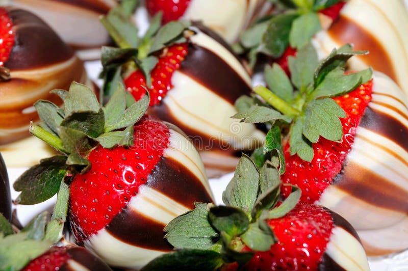Schokoladenüberzogene Erdbeeren Stockfoto - Bild von bäckerei ...