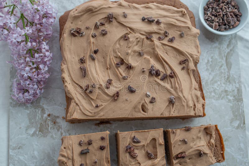 Schokoladen-Schokoladenkuchen mit dem gesalzenen Karamellbereifen, den Kakaospitzen und frischer Flieder stockbild Schokoladen-Schokoladenkuchen mit dem gesalzenen Karamellbereifen, den Kakaospitzen und frischer Flieder stockbild