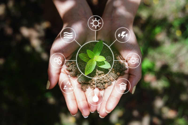 Clean energy and Natural energy resources. Woman hand holding sprout, with energy resource icons. Clean energy and Natural energy resources. Woman hand holding sprout, with energy resource icons