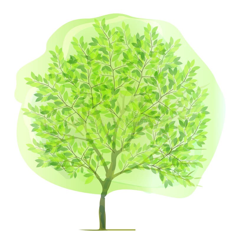 Schone verse groene illustraties als achtergrond stock illustratie Schone verse groene illustraties als achtergrond stock illustratie