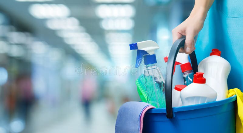 Schonere dame met een emmer en schoonmakende producten stock afbeelding Schonere dame met een emmer en schoonmakende producten stock afbeelding