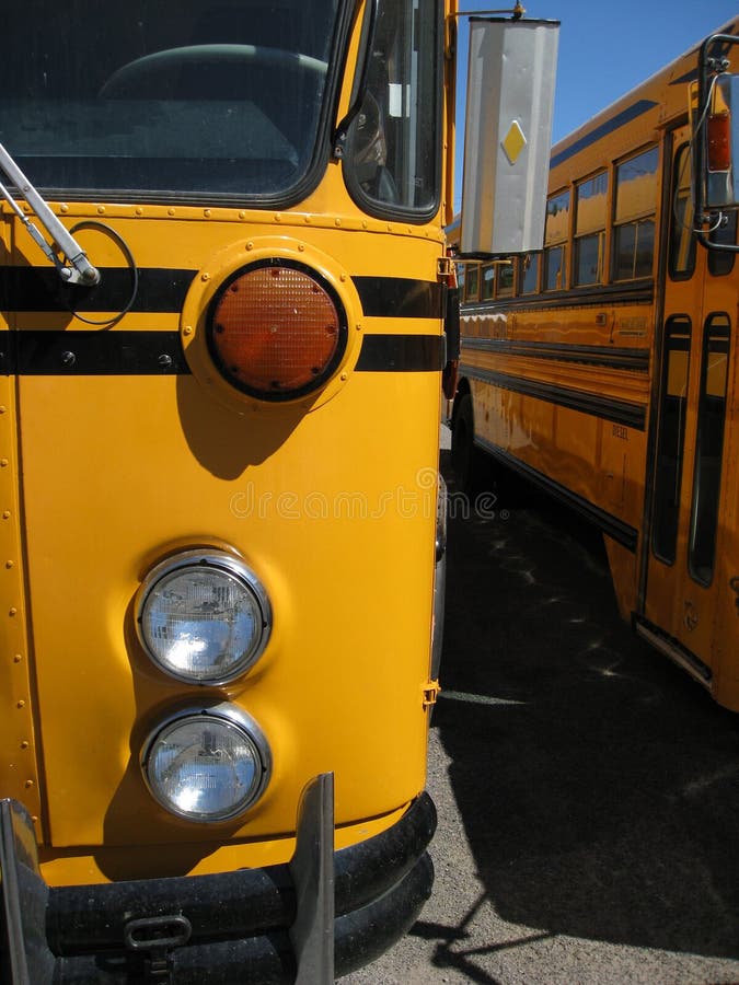 School bus detail