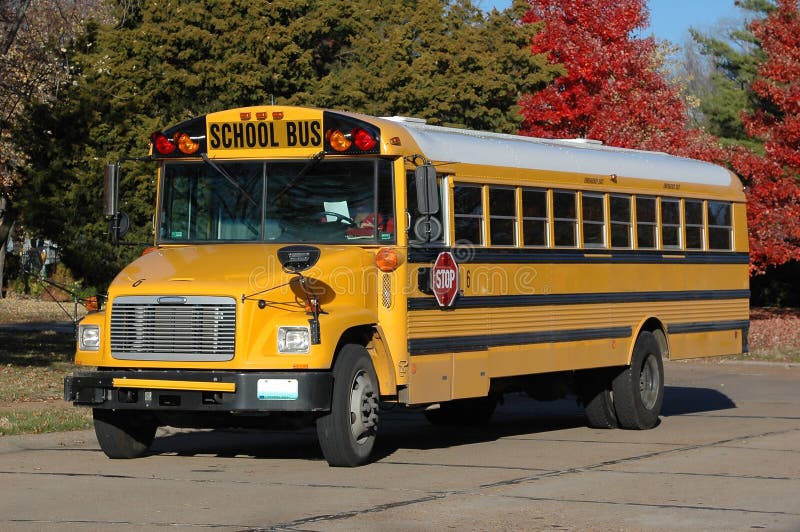 School Bus in the Neighborhood