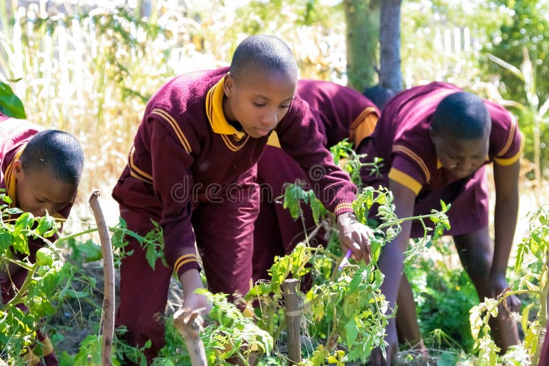 School children learning about agriculture and farming