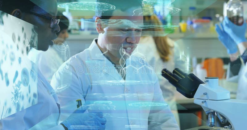 In school lab, scientists in coats analyzing digital holographic animation data vector illustration