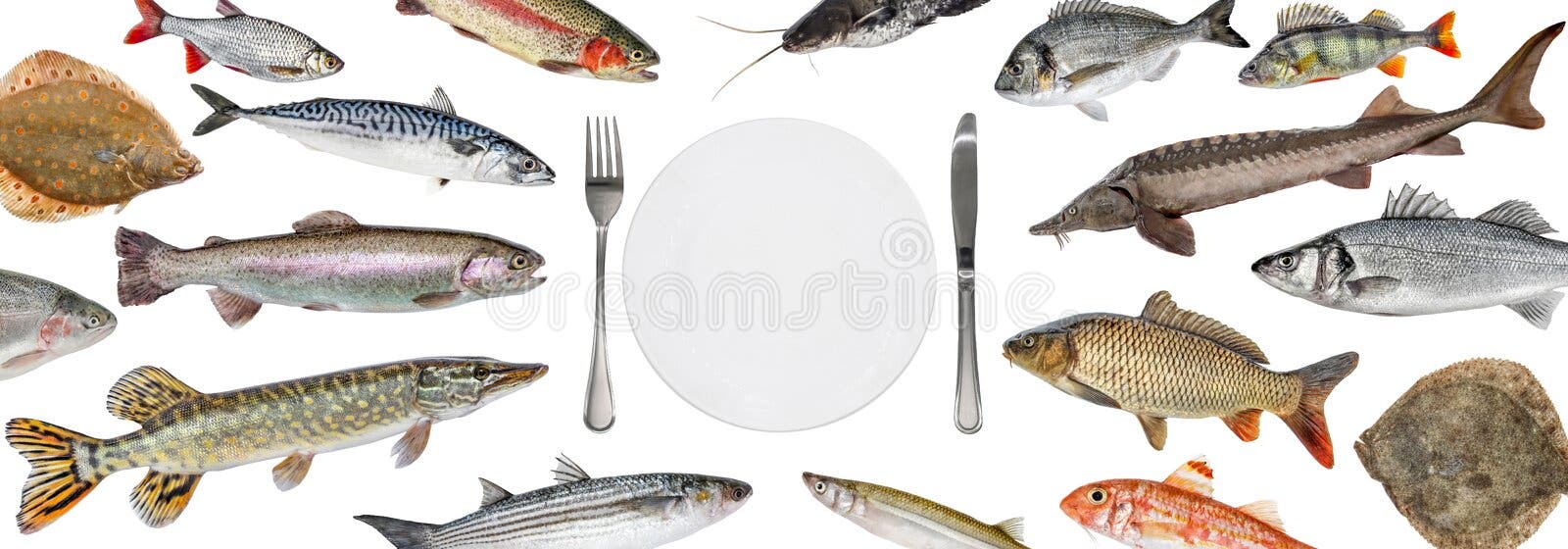 School of various fish float right into the plate. Fish isolated collection. Shop fish restaurant royalty free stock image School of various fish float right into the plate. Fish isolated collection. Shop fish restaurant royalty free stock image