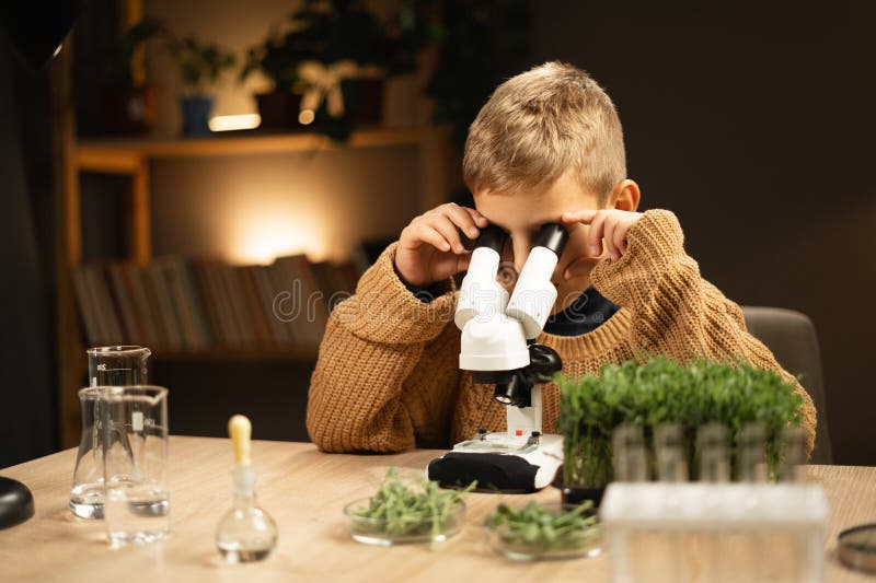Schoolboy studies under the microscope plants, enthusiastically looks, studying at home in the evening. stock photos