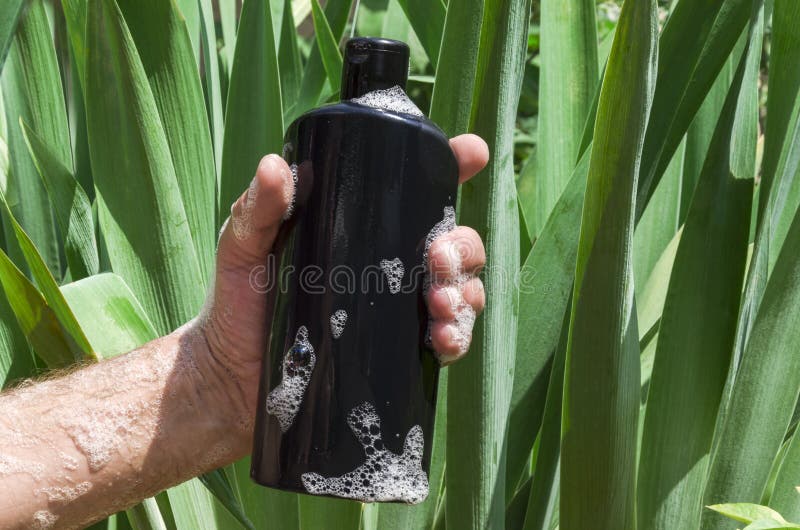 Schuim op de mannelijke hand De plastic zwarte fles van de mensenholding shampoo royalty-vrije stock afbeeldingen Schuim op de mannelijke hand De plastic zwarte fles van de mensenholding shampoo royalty-vrije stock afbeeldingen