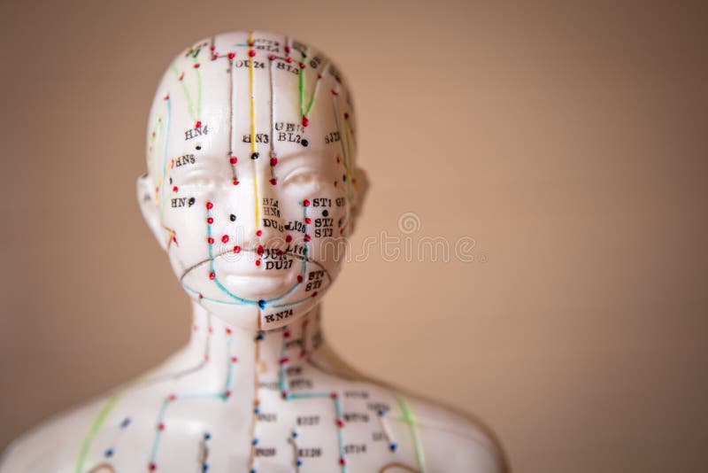Akupunktur-Attrappe stockfoto. Bild von nner, kultur ...
