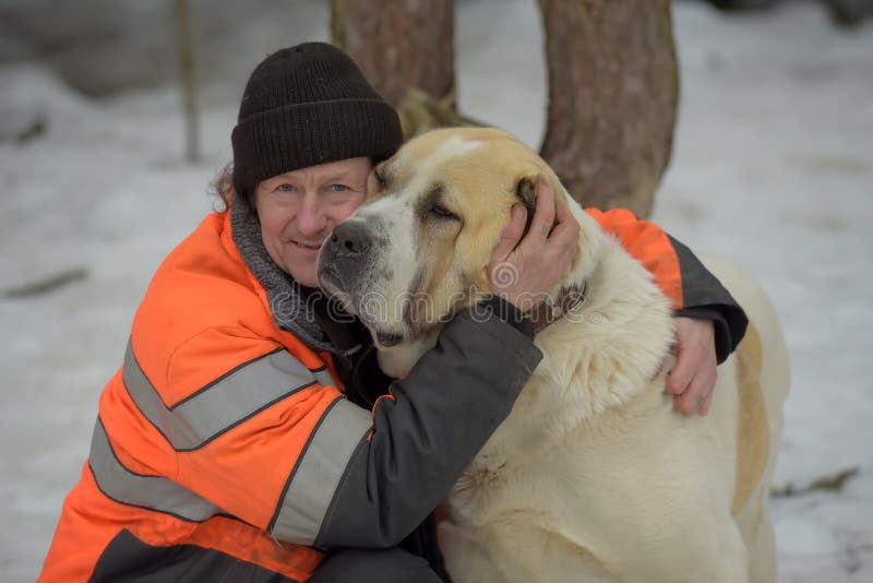 Schutz für streunende Hunde der großen Zucht Schutzangestellter mit alabai stockbild Schutz für streunende Hunde der großen Zucht Schutzangestellter mit alabai stockbild
