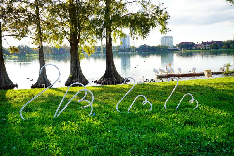 Swan light  in Lake Morton at city center of lakeland Florida. Swan light  in Lake Morton at city center of lakeland Florida