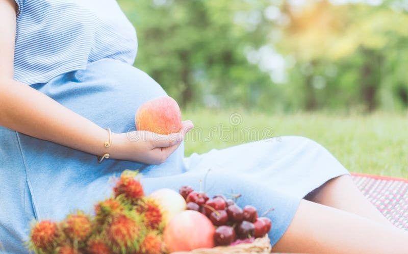 Schwangere Frau, die Apfelfrucht im Garten hält stockbild Schwangere Frau, die Apfelfrucht im Garten hält stockbild