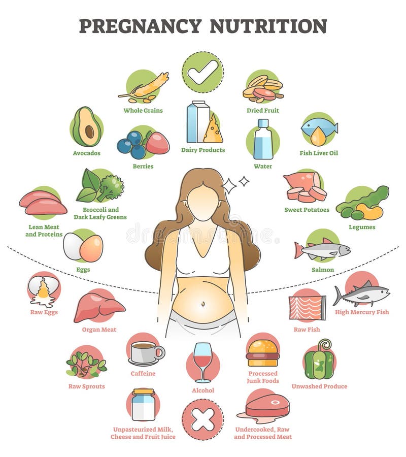 Schwangerschaftsnahrung mit weiblichem Nahrungsmittel-Entwurfskonzept der Empfehlung